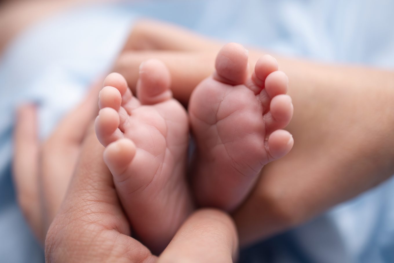 Pieds de nouveau-né dans les mains de ses parents
